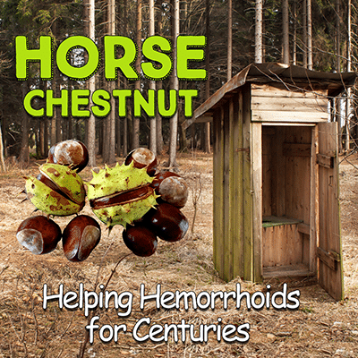 Horse Chestnut: Helping Hemorrhoids for Centuries