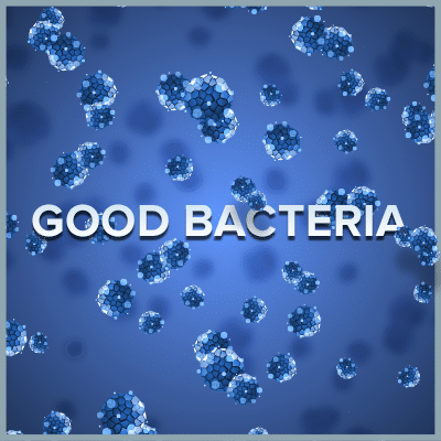 Good Bacteria