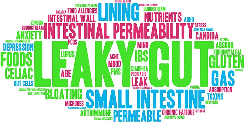 Leaky gut symptoms