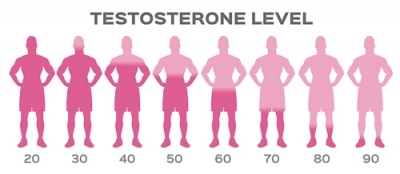 Testosterone Levels