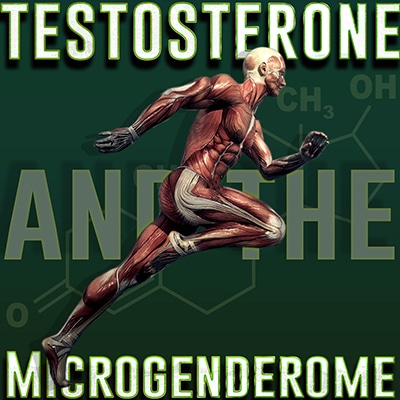 Testosterone and the Microgenderome